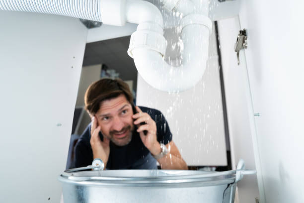 Best Sewer Line Repair  in Fruitvale, CO