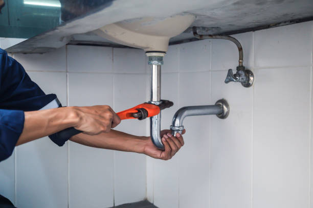 Best Plumbing Services Near Me  in Fruitvale, CO