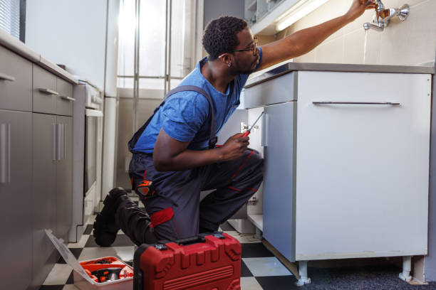 Best Affordable Plumbing Services  in Fruitvale, CO